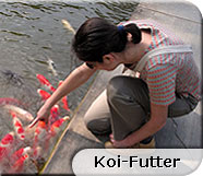 Koi-Futter