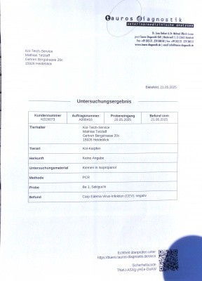Test CEV Sekiguchi 1