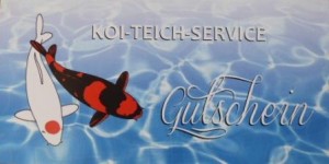 Gutschein 20¤